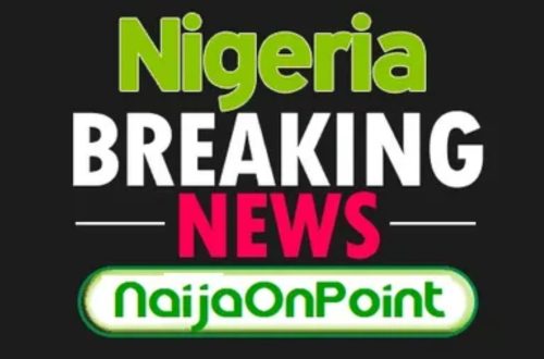 Latest News My Greenbucksnet: Updates You Shouldn't Miss